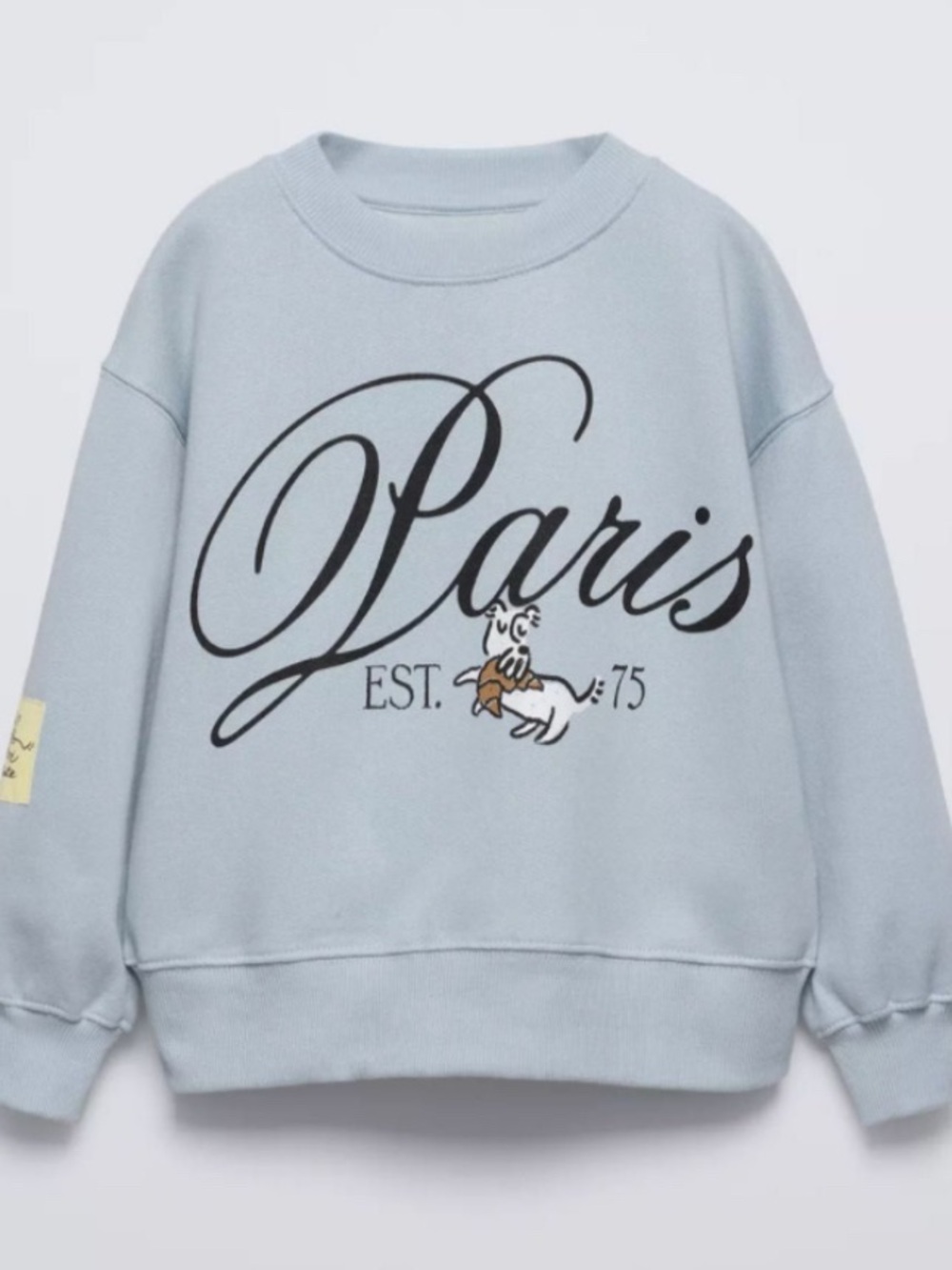 Zara Kids Light Blue Printed Sweater
